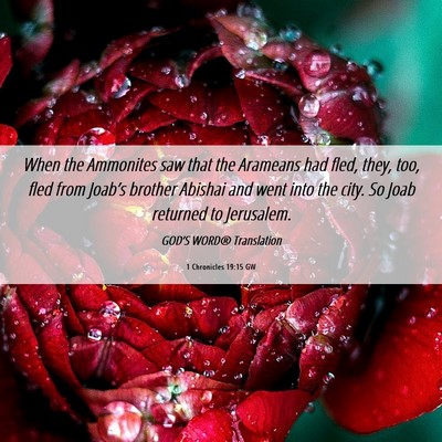 Picture 06 - 1 Chronicles 19:15 GW - When the Ammonites saw that the Arameans had - Bible Verse Picture
