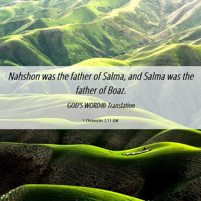 Picture 06 - 1 Chronicles 2:11 GW - Nahshon was the father of Salma, and Salma was - Bible Verse Picture