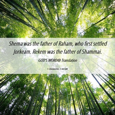 Picture 06 - 1 Chronicles 2:44 GW - Shema was the father of Raham, who first settled - Bible Verse Picture