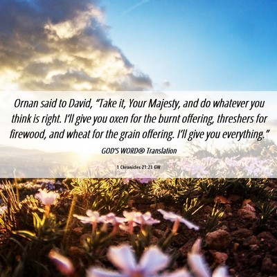 Picture 06 - 1 Chronicles 21:23 GW - Ornan said to David, “Take it, Your Majesty, - Bible Verse Picture