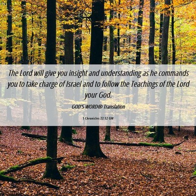 Picture 06 - 1 Chronicles 22:12 GW - The Lord will give you insight and understanding - Bible Verse Picture