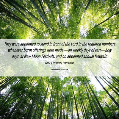 Picture 06 - 1 Chronicles 23:31 GW - They were appointed to stand in front of the Lord - Bible Verse Picture