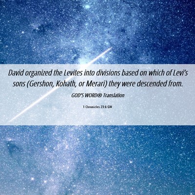 Picture 06 - 1 Chronicles 23:6 GW - David organized the Levites into divisions based - Bible Verse Picture