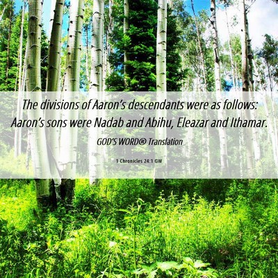 Picture 06 - 1 Chronicles 24:1 GW - The divisions of Aaron’s descendants were as - Bible Verse Picture