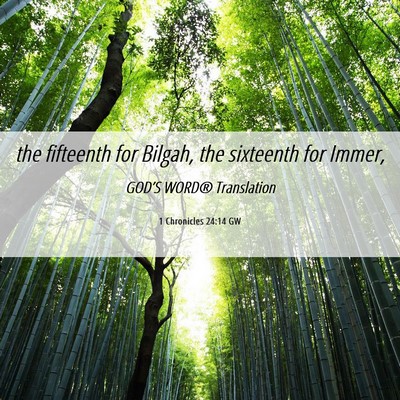 Picture 06 - 1 Chronicles 24:14 GW - the fifteenth for Bilgah, the sixteenth for - Bible Verse Picture