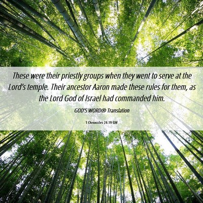 Picture 06 - 1 Chronicles 24:19 GW - These were their priestly groups when they went - Bible Verse Picture