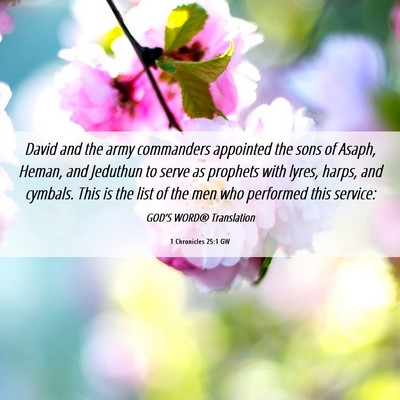 Picture 06 - 1 Chronicles 25:1 GW - David and the army commanders appointed the sons - Bible Verse Picture
