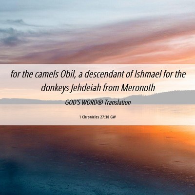 Picture 06 - 1 Chronicles 27:30 GW - for the camels Obil, a descendant of Ishmael for - Bible Verse Picture