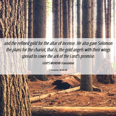 Picture 06 - 1 Chronicles 28:18 GW - and the refined gold for the altar of incense. He - Bible Verse Picture