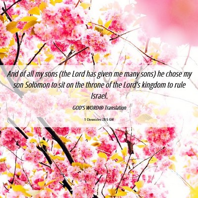 Picture 06 - 1 Chronicles 28:5 GW - And of all my sons (the Lord has given me many - Bible Verse Picture