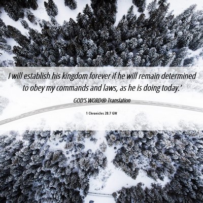 Picture 06 - 1 Chronicles 28:7 GW - I will establish his kingdom forever if he will - Bible Verse Picture