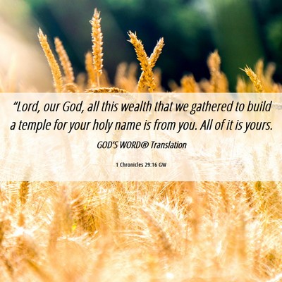 Picture 06 - 1 Chronicles 29:16 GW - “Lord, our God, all this wealth that we - Bible Verse Picture