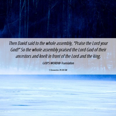 Picture 06 - 1 Chronicles 29:20 GW - Then David said to the whole assembly, “Praise - Bible Verse Picture
