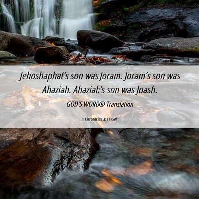 Picture 06 - 1 Chronicles 3:11 GW - Jehoshaphat’s son was Joram. Joram’s son was - Bible Verse Picture