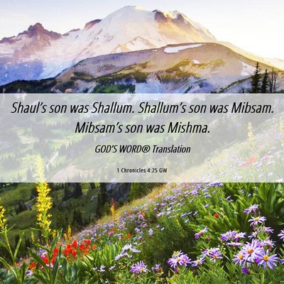 Picture 06 - 1 Chronicles 4:25 GW - Shaul’s son was Shallum. Shallum’s son was - Bible Verse Picture