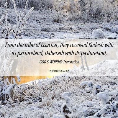 Picture 06 - 1 Chronicles 6:72 GW - From the tribe of Issachar, they received Kedesh - Bible Verse Picture