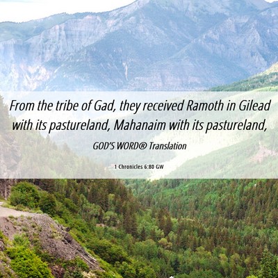 Picture 06 - 1 Chronicles 6:80 GW - From the tribe of Gad, they received Ramoth in - Bible Verse Picture
