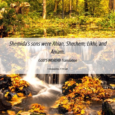 Picture 06 - 1 Chronicles 7:19 GW - Shemida’s sons were Ahian, Shechem, Likhi, and - Bible Verse Picture