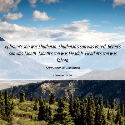 Picture 06 - 1 Chronicles 7:20 GW - Ephraim’s son was Shuthelah. Shuthelah’s son - Bible Verse Picture