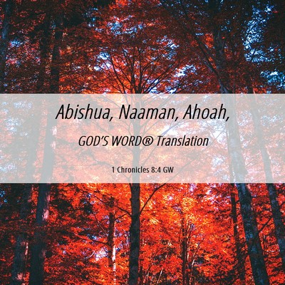 Picture 06 - 1 Chronicles 8:4 GW - Abishua, Naaman, - Bible Verse Picture