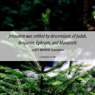 Picture 06 - 1 Chronicles 9:3 GW - Jerusalem was settled by descendants of Judah, - Bible Verse Picture