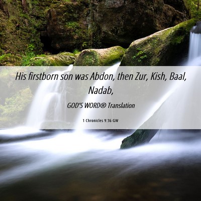 Picture 06 - 1 Chronicles 9:36 GW - His firstborn son was Abdon, then Zur, Kish, - Bible Verse Picture
