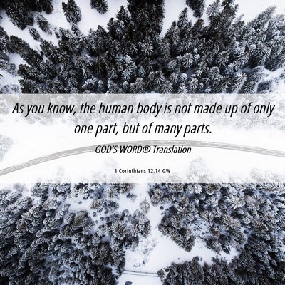 Picture 06 - 1 Corinthians 12:14 GW - As you know, the human body is not made up of - Bible Verse Picture
