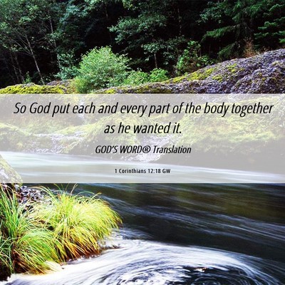 Picture 06 - 1 Corinthians 12:18 GW - So God put each and every part of the body - Bible Verse Picture