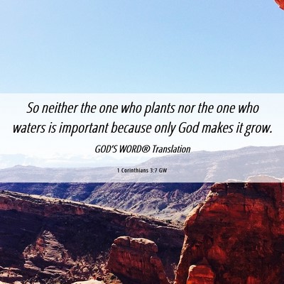 Picture 06 - 1 Corinthians 3:7 GW - So neither the one who plants nor the one who - Bible Verse Picture