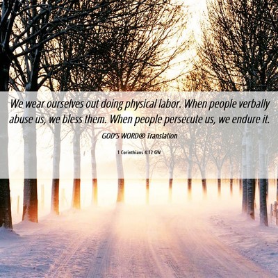 Picture 06 - 1 Corinthians 4:12 GW - We wear ourselves out doing physical labor. When - Bible Verse Picture