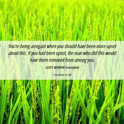 Picture 06 - 1 Corinthians 5:2 GW - You’re being arrogant when you should have been - Bible Verse Picture