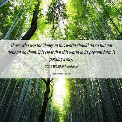 Picture 06 - 1 Corinthians 7:31 GW - Those who use the things in this world should do - Bible Verse Picture