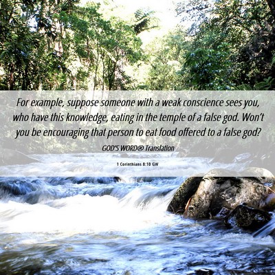 Picture 06 - 1 Corinthians 8:10 GW - For example, suppose someone with a weak - Bible Verse Picture