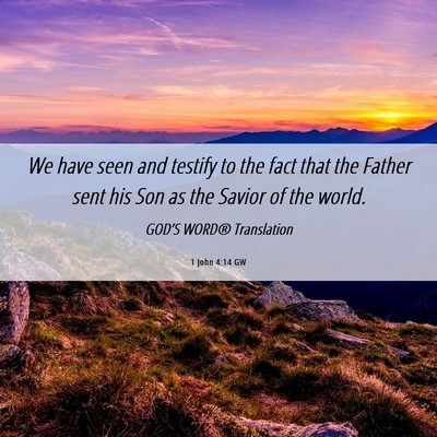 Picture 06 - 1 John 4:14 GW - We have seen and testify to the fact that the - Bible Verse Picture