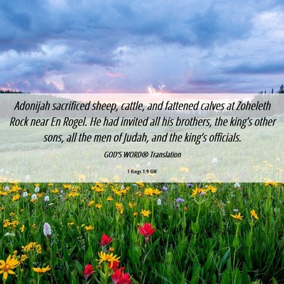 Picture 06 - 1 Kings 1:9 GW - Adonijah sacrificed sheep, cattle, and fattened - Bible Verse Picture