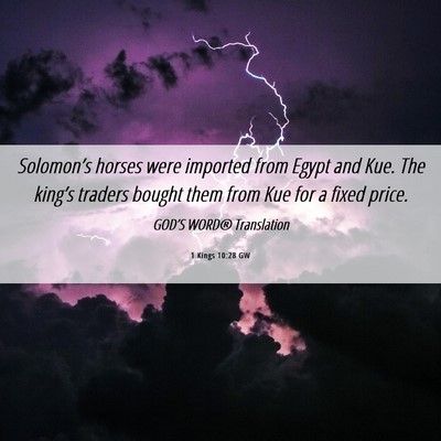 Picture 06 - 1 Kings 10:28 GW - Solomon’s horses were imported from Egypt and - Bible Verse Picture