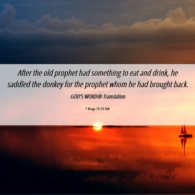 Picture 06 - 1 Kings 13:23 GW - After the old prophet had something to eat and - Bible Verse Picture