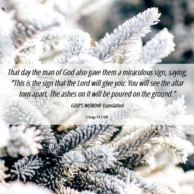 Picture 06 - 1 Kings 13:3 GW - That day the man of God also gave them a - Bible Verse Picture