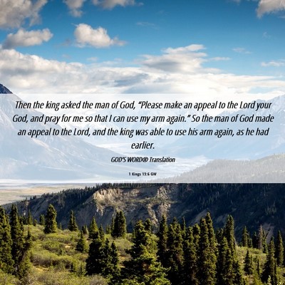 Picture 06 - 1 Kings 13:6 GW - Then the king asked the man of God, “Please - Bible Verse Picture