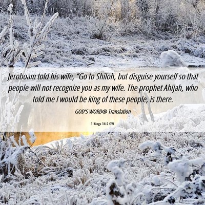 Picture 06 - 1 Kings 14:2 GW - Jeroboam told his wife, “Go to Shiloh, but - Bible Verse Picture