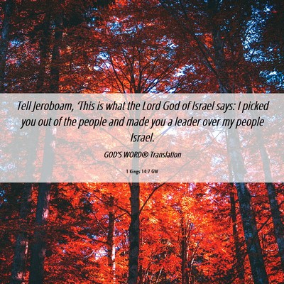 Picture 06 - 1 Kings 14:7 GW - Tell Jeroboam, ‘This is what the Lord God of - Bible Verse Picture