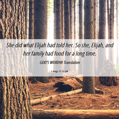 Picture 06 - 1 Kings 17:15 GW - She did what Elijah had told her. So she, Elijah, - Bible Verse Picture