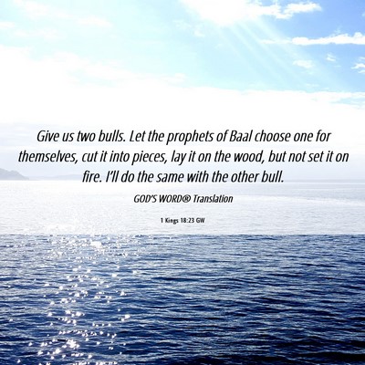 Picture 06 - 1 Kings 18:23 GW - Give us two bulls. Let the prophets of Baal - Bible Verse Picture