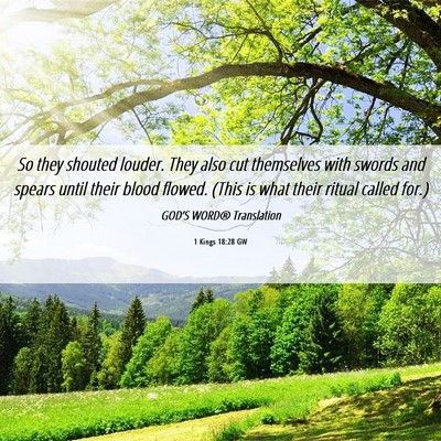 Picture 06 - 1 Kings 18:28 GW - So they shouted louder. They also cut themselves - Bible Verse Picture