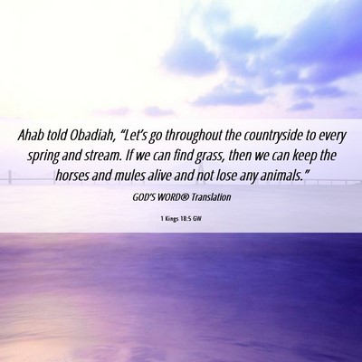 Picture 06 - 1 Kings 18:5 GW - Ahab told Obadiah, “Let’s go throughout the - Bible Verse Picture