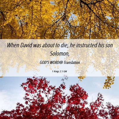 Picture 06 - 1 Kings 2:1 GW - When David was about to die, he instructed his - Bible Verse Picture
