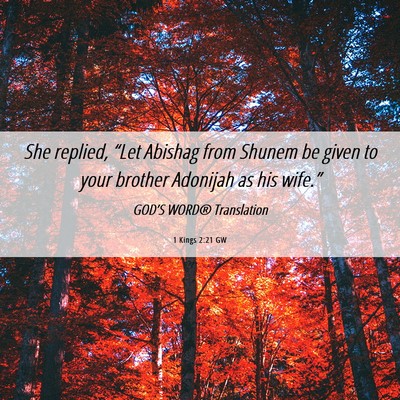 Picture 06 - 1 Kings 2:21 GW - She replied, “Let Abishag from Shunem be given - Bible Verse Picture