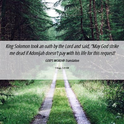 Picture 06 - 1 Kings 2:23 GW - King Solomon took an oath by the Lord and said, - Bible Verse Picture