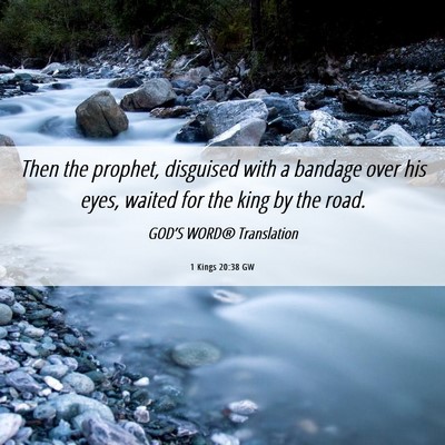 Picture 06 - 1 Kings 20:38 GW - Then the prophet, disguised with a bandage over - Bible Verse Picture
