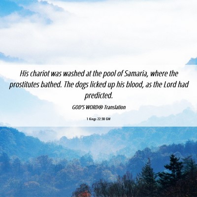 Picture 06 - 1 Kings 22:38 GW - His chariot was washed at the pool of Samaria, - Bible Verse Picture